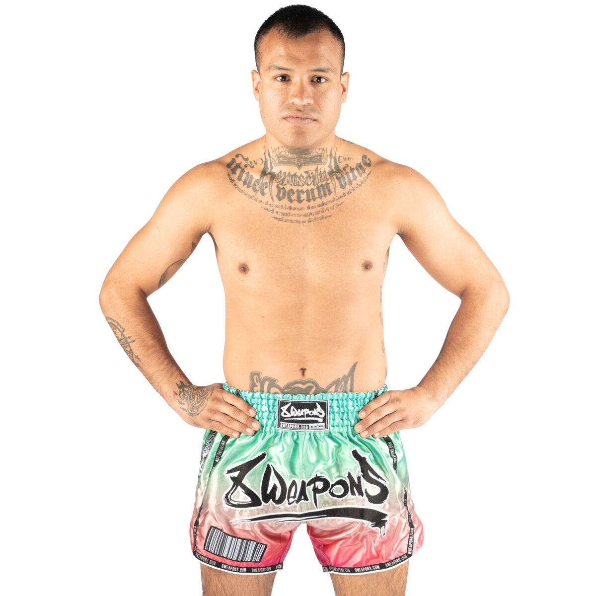 8 WEAPONS Muay Thai Shorts, Vivo Mesosphere