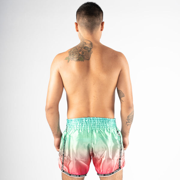 8 WEAPONS Muay Thai Shorts, Vivo Mesosphere