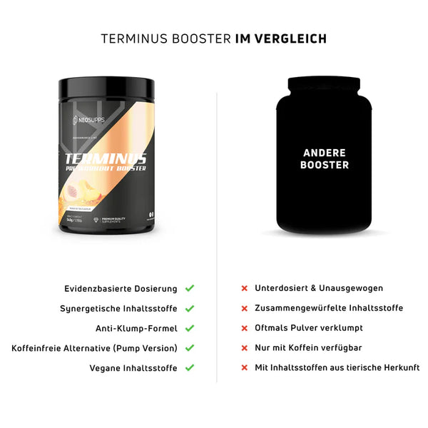 Terminus Booster