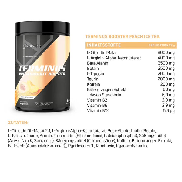 Terminus Booster