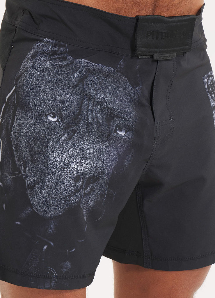 Trainingsshorts Performance Pro plus Born in 1989