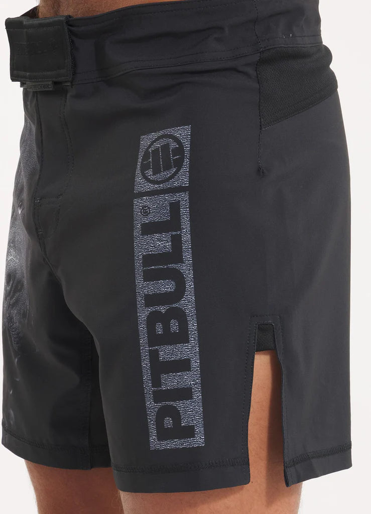 Trainingsshorts Performance Pro plus Born in 1989